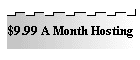 $9.99 A Month Hosting